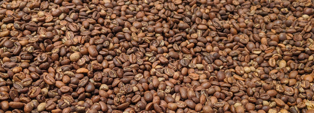 
                  
                    Brushtail Blend: Ethiopia, Java, Rwanda
                  
                
